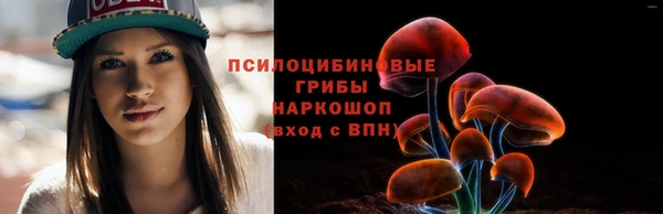 стафф Алексеевка